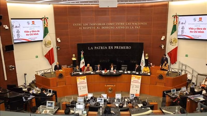 Общий вид семинара. Фото: ВИА