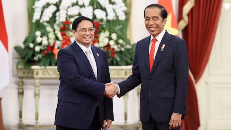 Премьер-министр Фам Минь Тьинь и Президент Индонезии Джоко Видодо. Фото: VGP