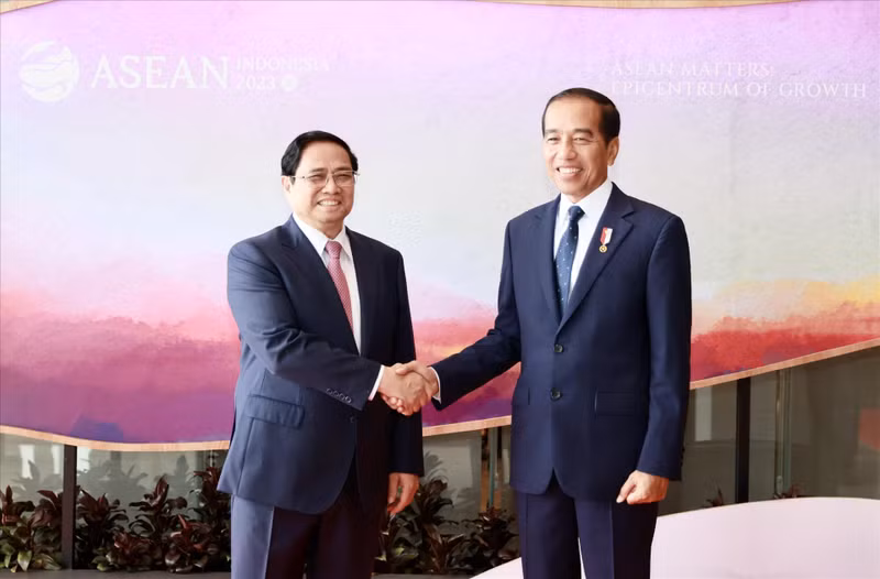 Премьер-министр Фам Минь Тьинь и Президент Индонезии Джоко Видодо. Фото: ВИА