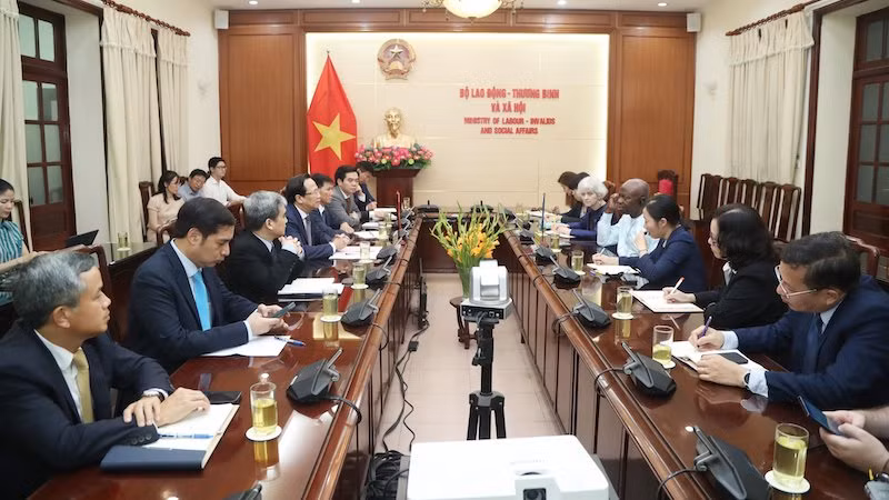 Общий вид рабочей встречи. Фото: molisa.gov.vn
