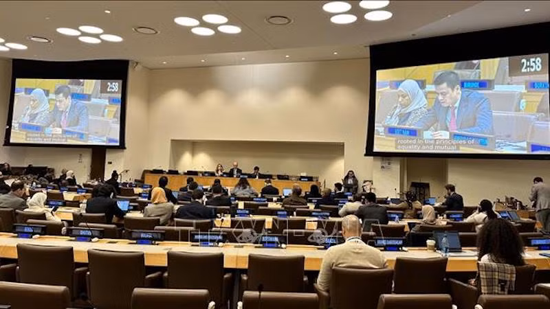 Посол Данг Хоанг Жанг выступает на дискуссии. Фото: ВИА