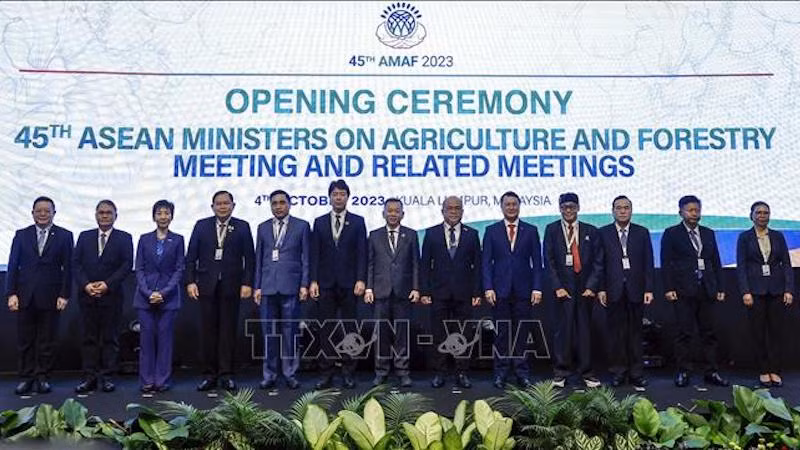 Участники AMAF-45. Фото: ВИА