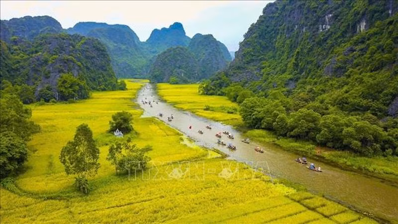 Рисовое поле в Тамкок, Ниньбинь. Фото: ВИА