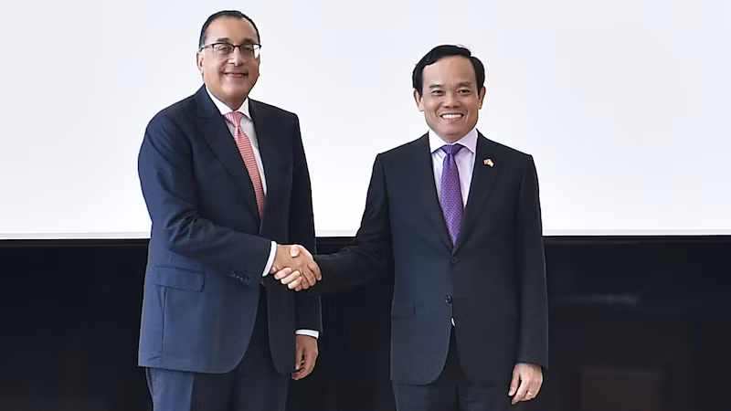 Вице-премьер Чан Лыу Куанг и Премьер-министр Египта Мостафа Мадбули. Фото: МИД Вьетнама