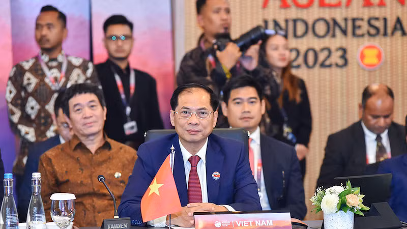 Министр иностранных дел Буй Тхань Шон выступает на пленарной сессии АММ-56. Фото: МИД Вьетнама