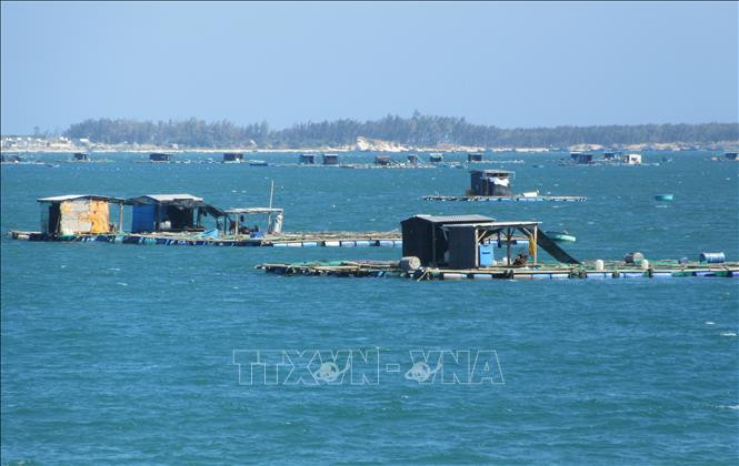 Морское рыбоводство в провинции Ниньтхуан. Фото: ВИА