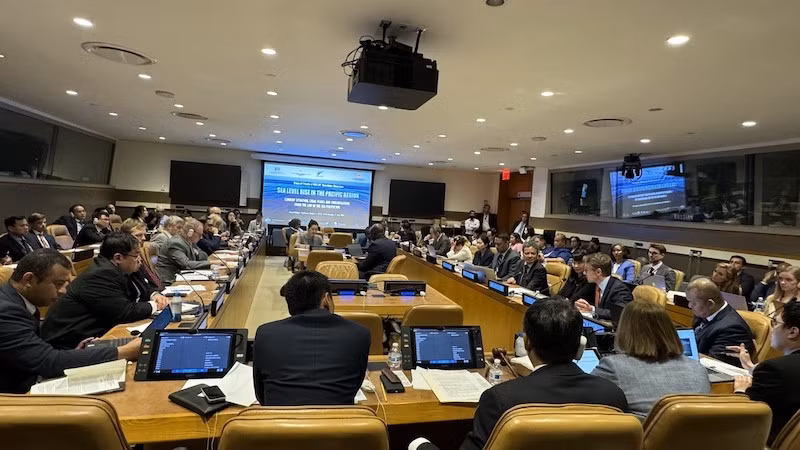 Общий вид семинара. Фото: ВИА