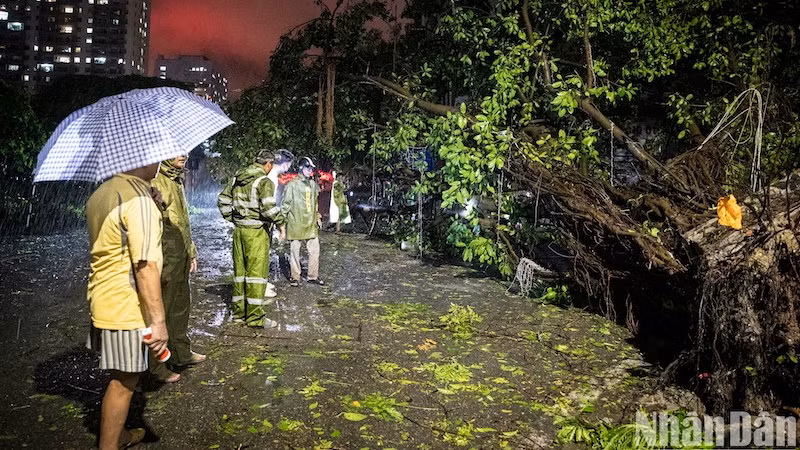 Тййфун №3 причинил значительный ущерб имуществу.