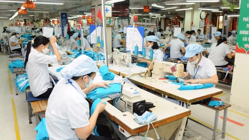 Среди соглашений о свободной торговле нового поколения, к которым присоединился Вьетнам, EVFTA приносит самые положительные результаты.