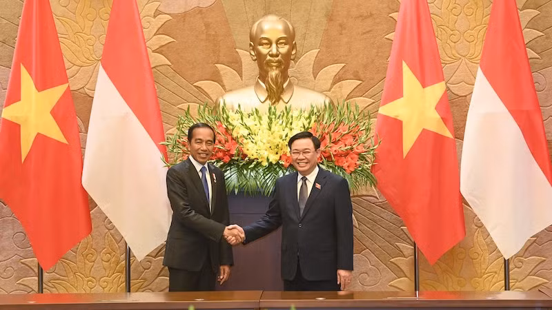 Председатель НС Выонг Динь Хюэ и Президент Индонезии Джоко Видодо. Фото: Зюи Линь