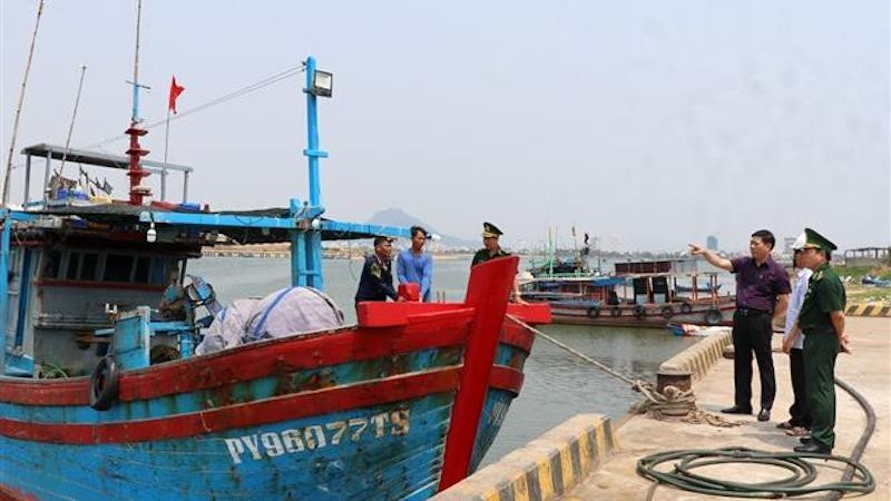 Рабочая группа Министерства сельского хозяйства и развития деревни проверяет работу по борьбе с ННН-промыслом в провинции Фуйен. Фото: ВИА