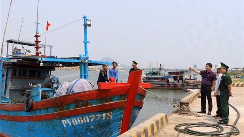 Рабочая группа Министерства сельского хозяйства и развития деревни проверяет работу по борьбе с ННН-промыслом в провинции Фуйен. Фото: ВИА