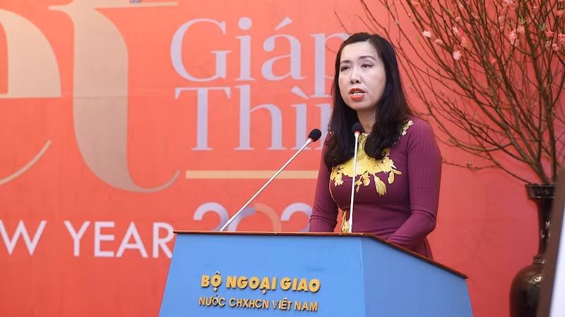 Замминистра иностранных дел Ле Тхи Тху Ханг. Фото: baoquocte.vn
