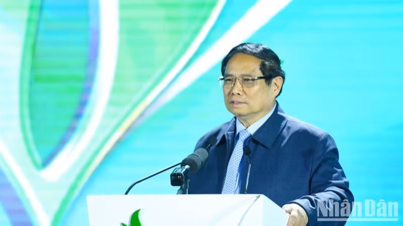 Премьер-министр Фам Минь Тьинь выступает на конференции. Фото: Чан Хай