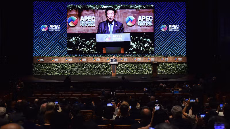 Президент Лыонг Кыонг выступает на мероприятии.