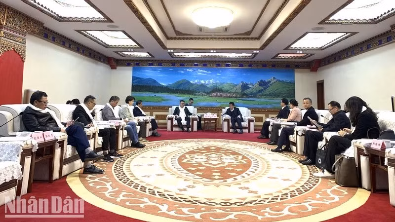 Общий вид рабочей встрече.