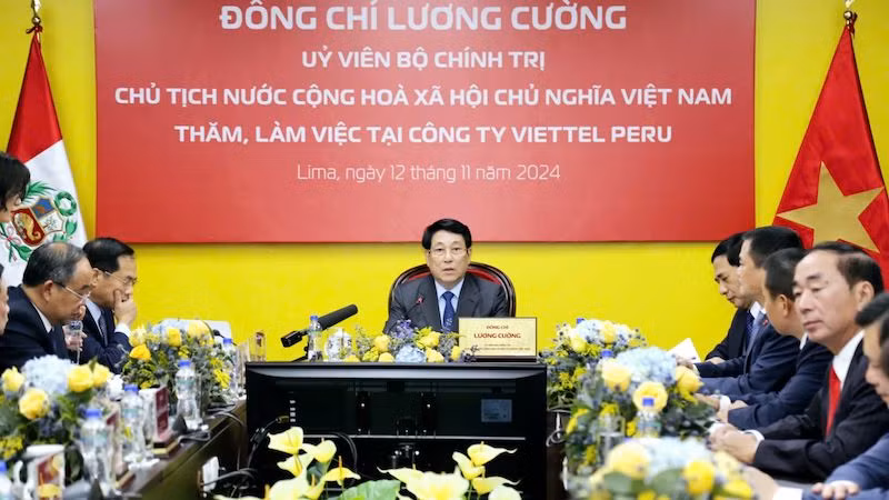 Президент Лыонг Кыонг выступает на встрече. Фото: Суан Ки