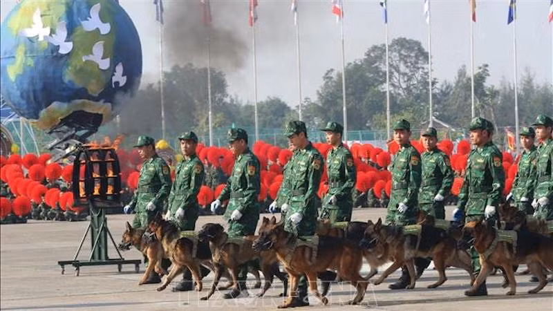 Показательные выступления с участием служебных собак. Фото: ВИА