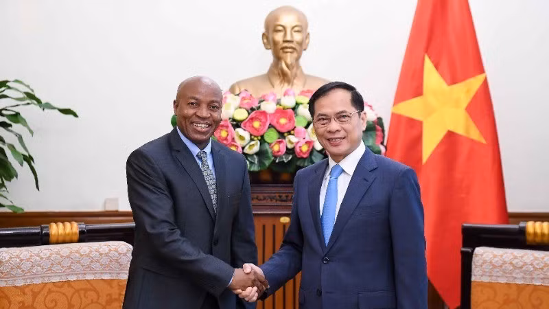Вице-премьер, Министр иностранных дел Буй Тхань Шон и Замминистра иностранных дел и восточноафриканского сотрудничества Танзании Косато Дэвида Чуми.