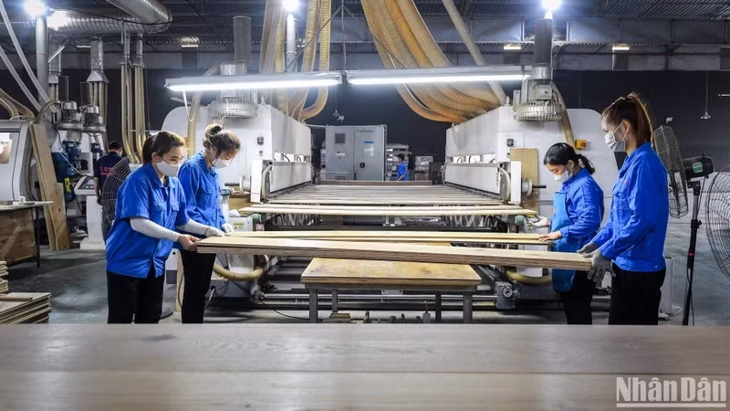 Иллюстрация. Фото: Тхань Дат