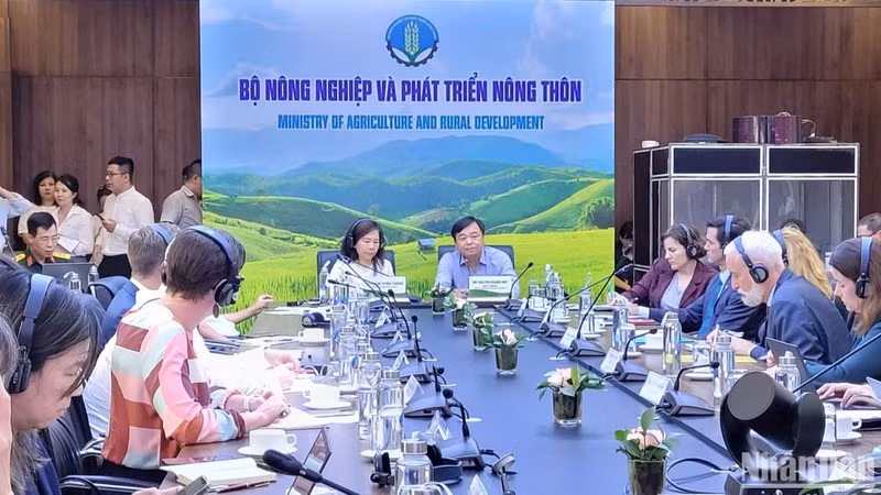 Общий вид заседания