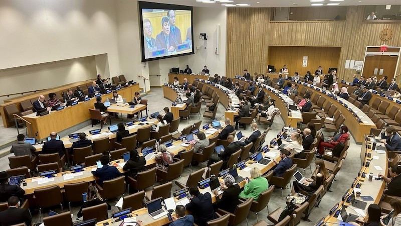Постоянный замминистра иностранных дел Нгуен Минь Ву выступает на совещании. Фото: ВИА