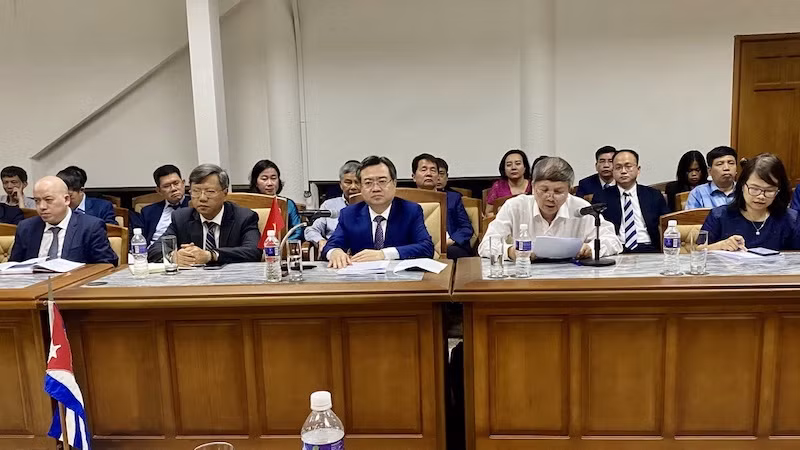 Вьетнамская делегация на заседании. Фото: ВИА