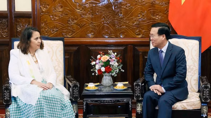 Президент Во Ван Тхыонг и Посол Новой Зеландии Треден Добсон. Фото: ВИА