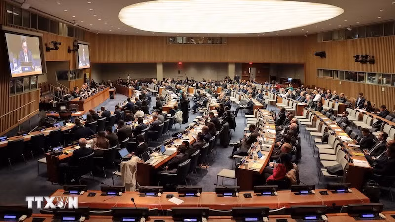 Общий вид заседания. Фото: ВИА