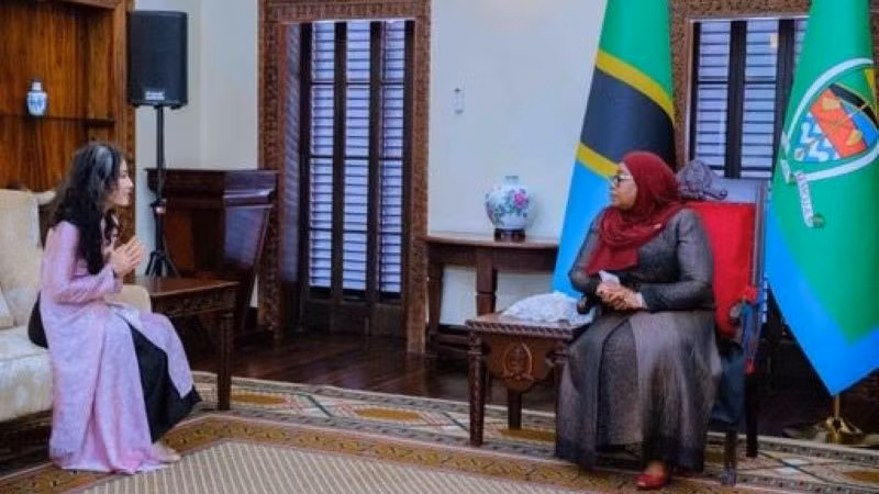 Президент Самия Сулуху Хасан принимает Посол Ву Тхань Хуен.