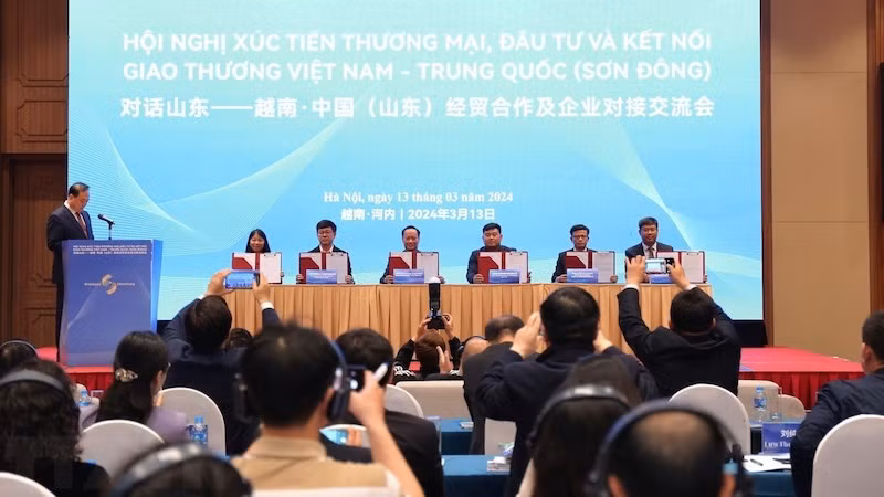 Общий вид конференции. Фото: ВИА