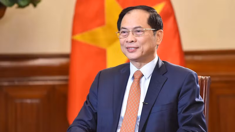 Вице-премьер, Министр иностранных дел Вьетнама Буй Тхань Шон. Фото: baoquocte.vn
