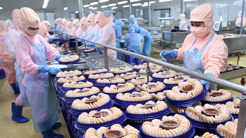 Переработка креветок на заводе в промышленном парке Шонгхау, провинция Хаужанг. Фото: ВИА