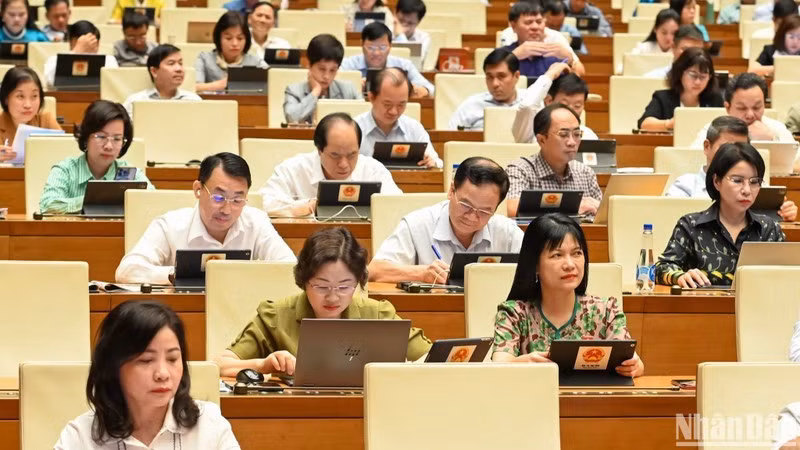 Заседание 10 мая. Фото: Буй Жанг