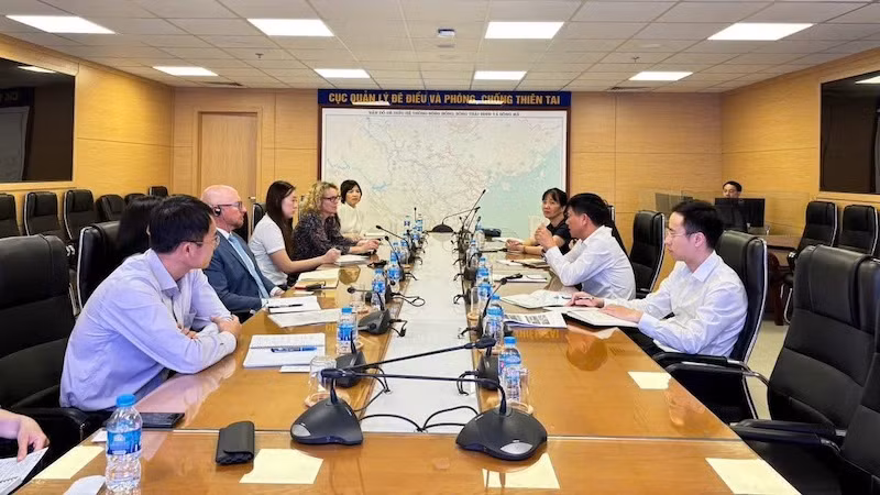 Общий вид встречи.