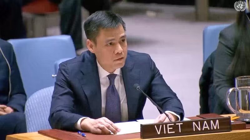 Посол Данг Хоанг Жанг выступает на заседании. Фото: ВИА