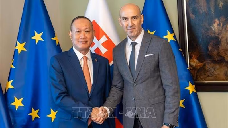 Посол Вьетнама в Словакии Фам Чыонг Жанг и советник Министра внутренних дел Словакии Ладислав Чеми. Фото: ВИА