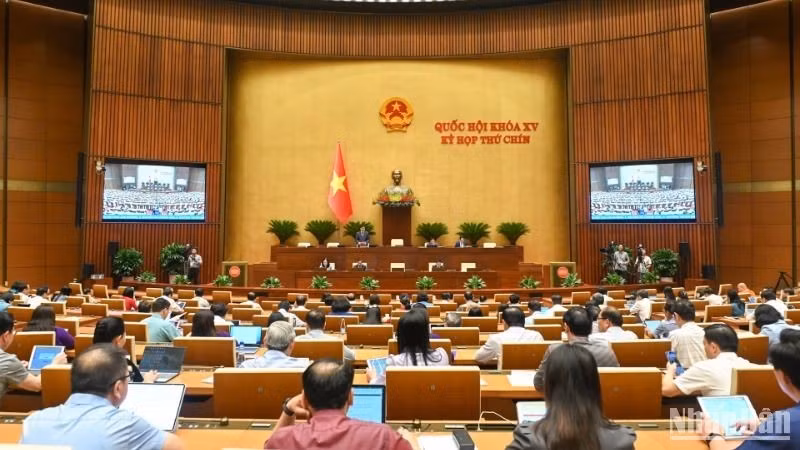 Общий вид заседания 16 мая. Фото: Буй Жанг