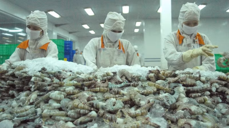 Креветки – ключевой экспортный товар Вьетнама на рынке США. Фото: ВИА