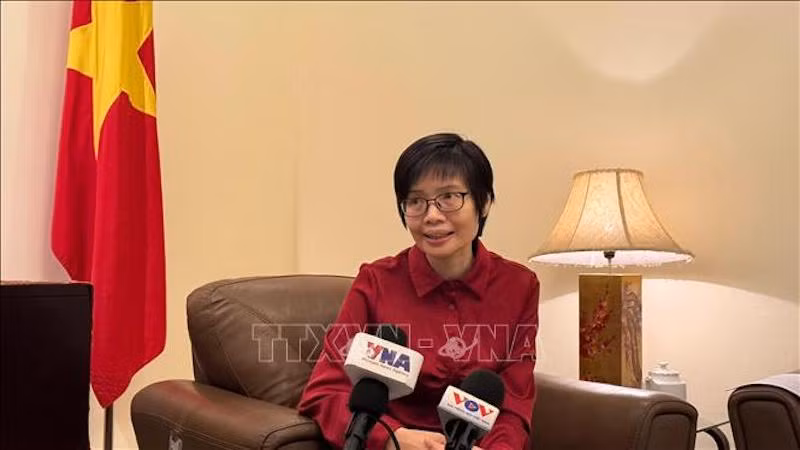 Посол Тон Тхи Нгок Хыонг, постоянный представитель Вьетнама при АСЕАН. Фото: ВИA 