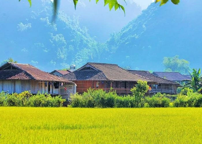 Культурная деревня общественного туризма Куиньшон. Фото: luhanhvietnam.com.vn
