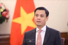 Заместитель министра иностранных дел Данг Хоанг Зянг, глава СДЛ АСЕАН Вьетнама. Фото: ВИА