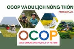 Синхронное и устойчивое развитие программы OCOP и сельского туризма