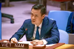 Заместитель министра иностранных дел Данг Хоанг Зянг, глава СДЛ АСЕАН–Вьетнам.