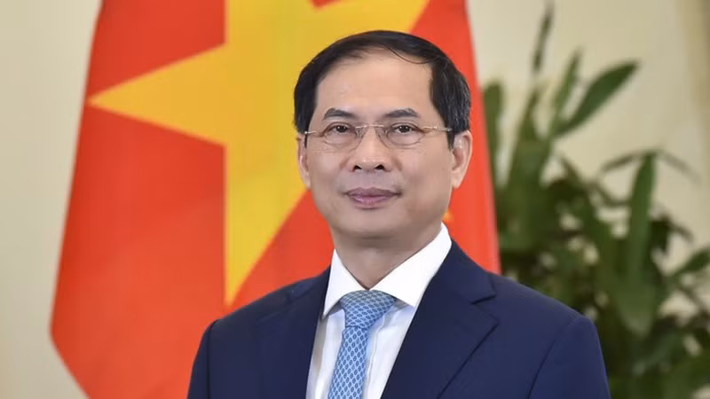 Министр иностранных дел Вьетнама Буй Тхань Шон. Фото: ВИА