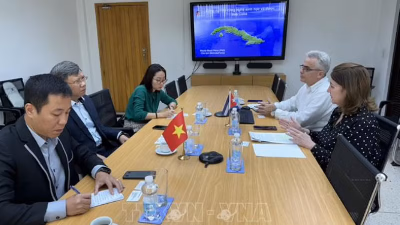 Общий вид встречи. Фото: ВИА