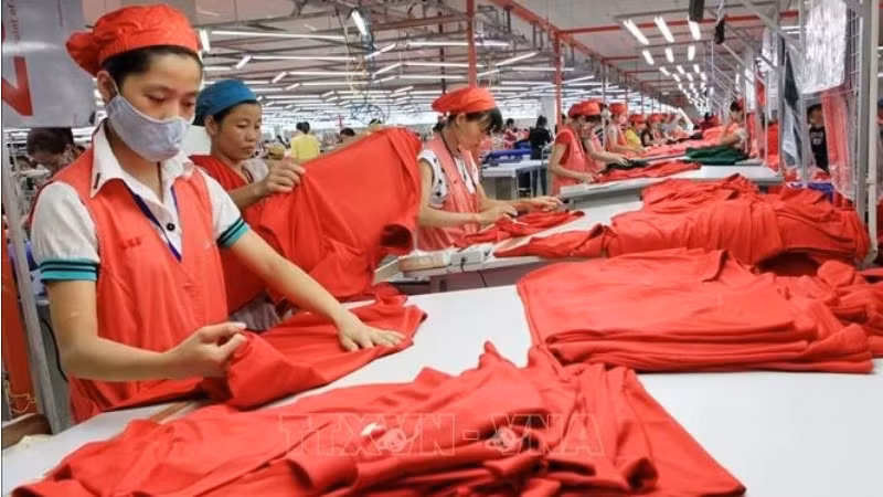 На фабрике компании Star Fashion Company Limited, специализирующейся на производстве трикотажа и спортивной одежды для экспорта на рынок США. Фото: ВИA