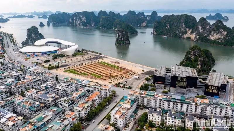 В сегодняшних достижениях г. Халонга есть весомый вклад бизнес-сообщества, действующего в городе.