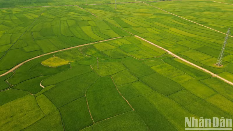 Те изменения, которые происходят в Мыонгфанге сегодня, являются результатом совместных усилий и консенсуса всей политической системы, а также солидарности всех местных народностей.