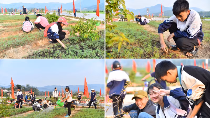 Посещая Мыонгфанг, помимо любования пейзажем, посетители могут своими глазами увидеть волшебные изменения стойкой и героической земли.